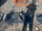 Land Honor Skid Steer Utility 2