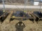 Mower King Skid steer brush cutter 77
