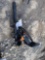Wolverine Mini Skid Steer Auger Drive & Bit Attachments