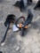 Wolverine Mini Skid Steer Auger Drive & Bit Attachments