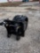 Future Excavator  Compaction Wheel fit to 320 Excavator