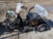 HYGE Electric tricycle