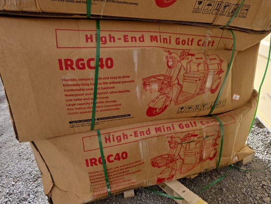 IRGC40 Mini Golf Cart - 2 Seat Tandem