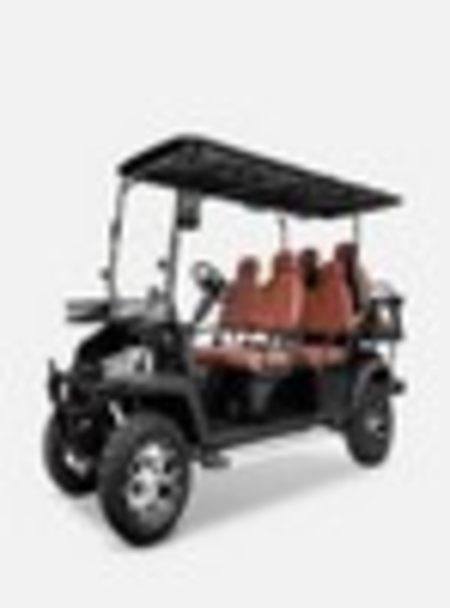 SDLanch SDLGC80 4 Seat Electric Golf Cart - White