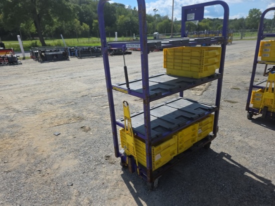 Heavy Duty Cart w/ 4 Shelves & 12 Plastic Bins