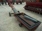 Hutchinson Incline Auger