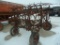 Speed King 16' fold up spring tooth harrow, hyd lift