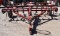 International 4500 Vibra Shank