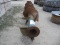 Patz TMR Auger