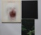 Roni Horn, Books