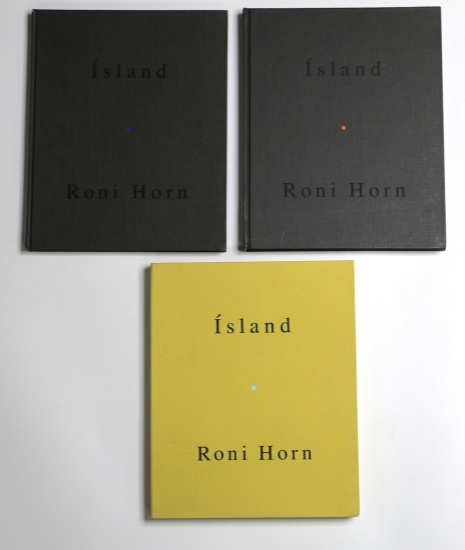 Roni Horn, Books