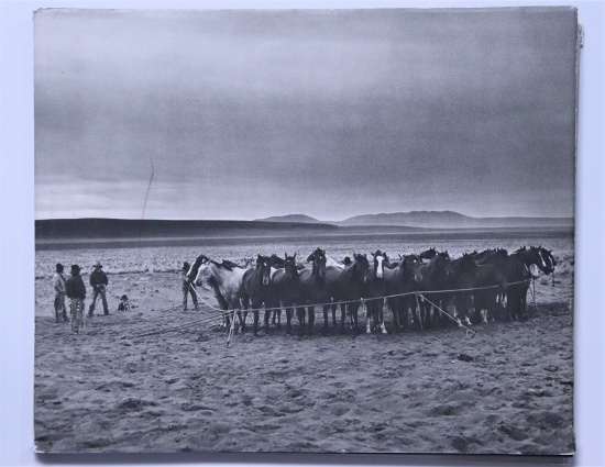 Kurt Markus, "After Barbed Wire; Cowboys of Our Time"