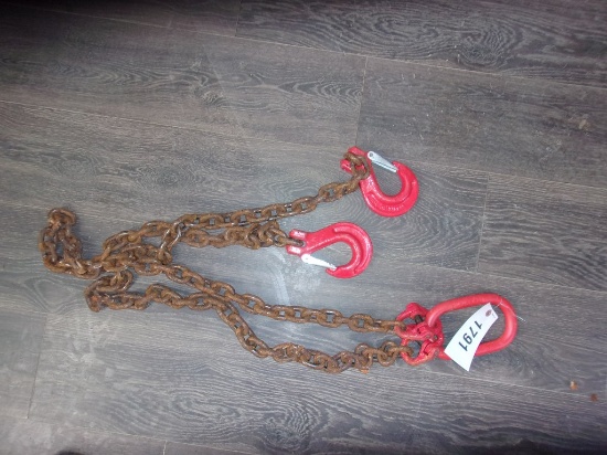 2 hook chain and swivel