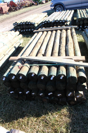 (36) 4x8 Treated Post