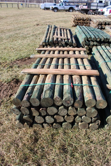 (36) 4x8 Treated Post