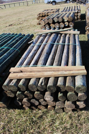 (36) 4x8 Treated Post