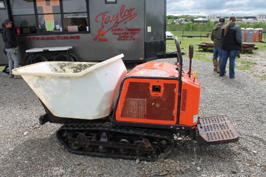 Canyon Georgia Buggy