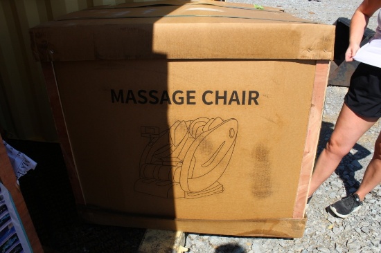 Future massage chair FT-S13