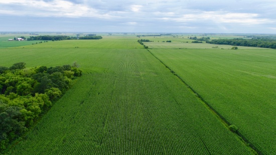 Fillmore County, MN 228.5 +/- Acre Land Auction