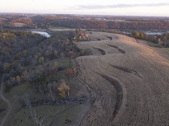 Clayton County, IA 465.5 +/- Acre Land Auction