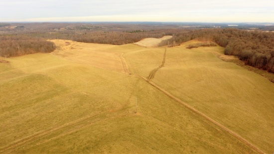 Dunn County, WI 159.94 +/- Acre Land Auction