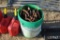 BUCKET OF HORSESHOES