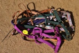 BDL OF HALTERS-  BRIDLES