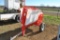 MQ WHITEMAN MORTAR & GROUT MIXER