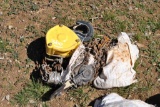 3T CHAIN HOIST