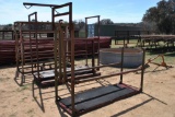 CATTLE TRIMMING CHUTE