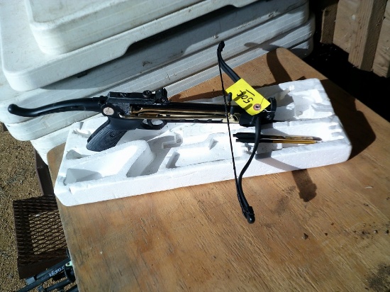 MINI CROSSBOW W/ DARTS