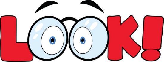 LOOK BEFORE YOOU BID