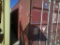 20FT SEA CONTAINER- GLDU3475910