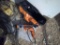 RIGID HAMMER DRILL
