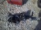 REC HITCH & SWAY BARS
