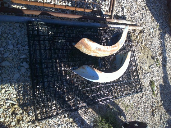 PET CAGE & FENDER WELLS