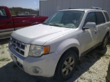 2010 FORD ESCAPE - RUNS BUT WILL DIE