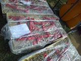(16) 5/16x20FT GR70 CHAINS (8) 5400LB BOOMERS