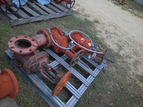 PALLET GATE VALVES