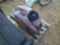 HONDA PREDATOR 2500WT GENERATOR