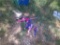 KIDS FISHING POLES