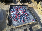 38 ASST SHACKLES