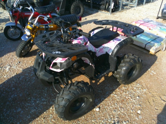 OFF ROAD 2x4 4-WHEELER