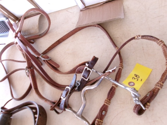 HEAD STALL-BITS-REINS