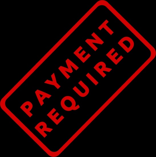 PAYMENT- DUE JULY 1ST