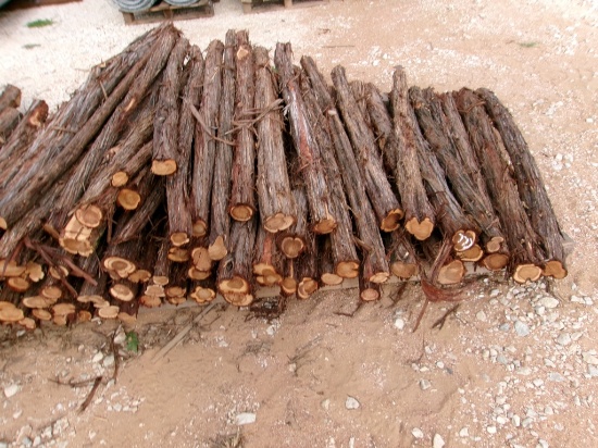 APPROX 100 CEDAR STAYS