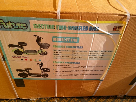 FUTURE FT-E48 ELECTRIC BIKE