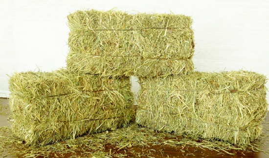 $500 in Hay or Bedding from S & W Hay