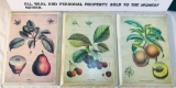 (3) Fruit Paintings On Wood