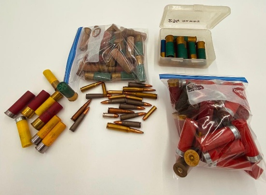 Approx. 100 Misc. Ammo